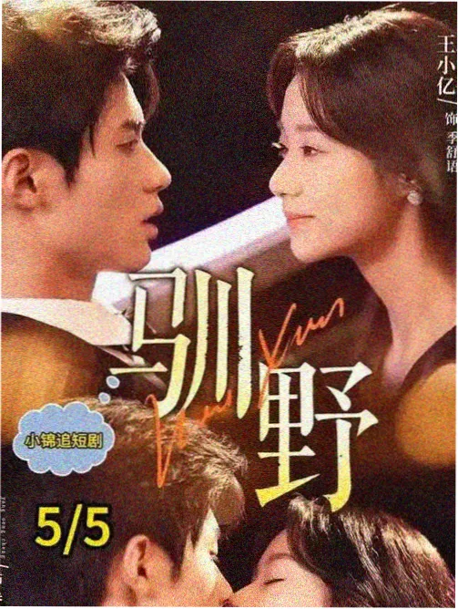 国产剧全集在线播放趋势观察